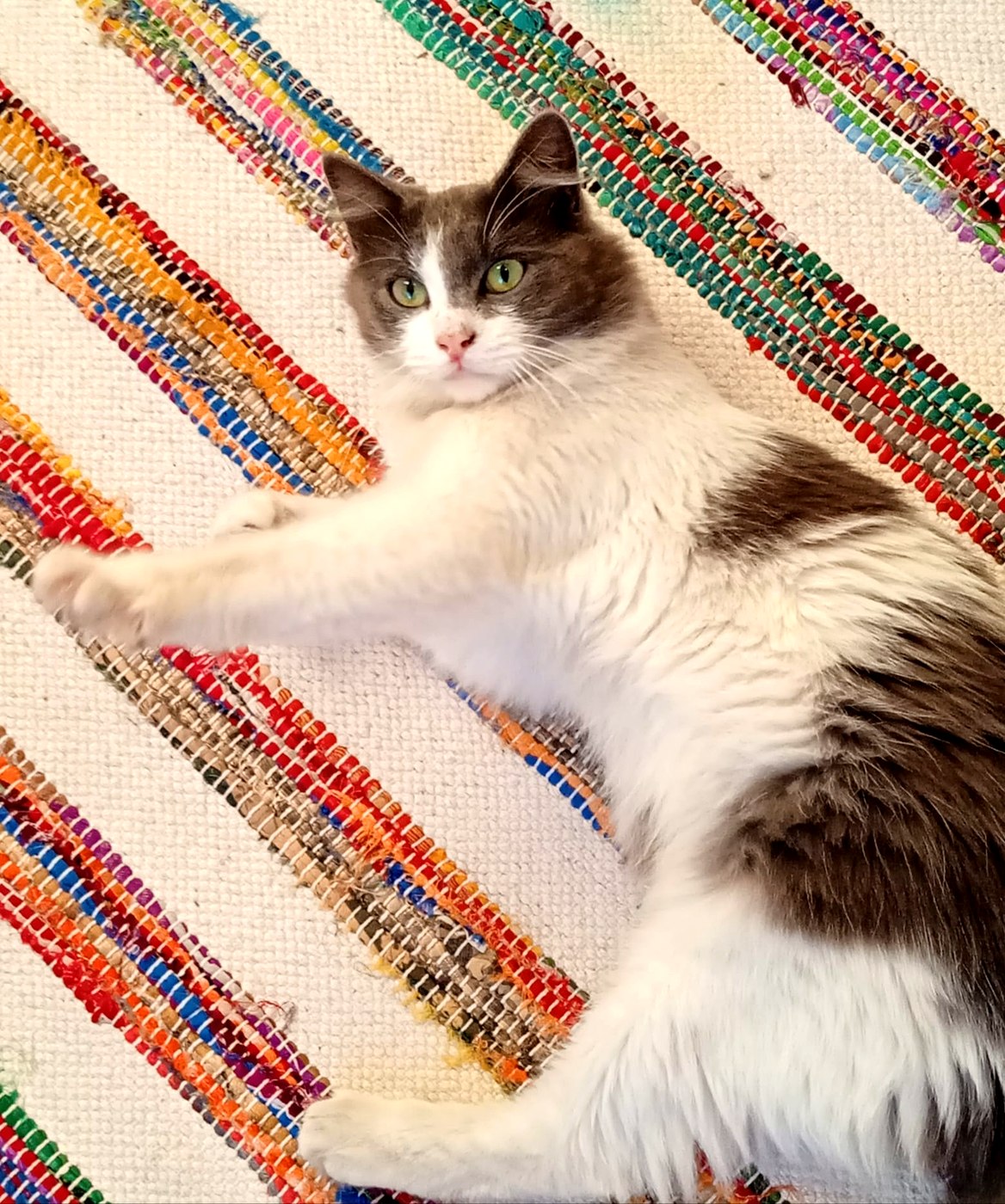 Berlioz